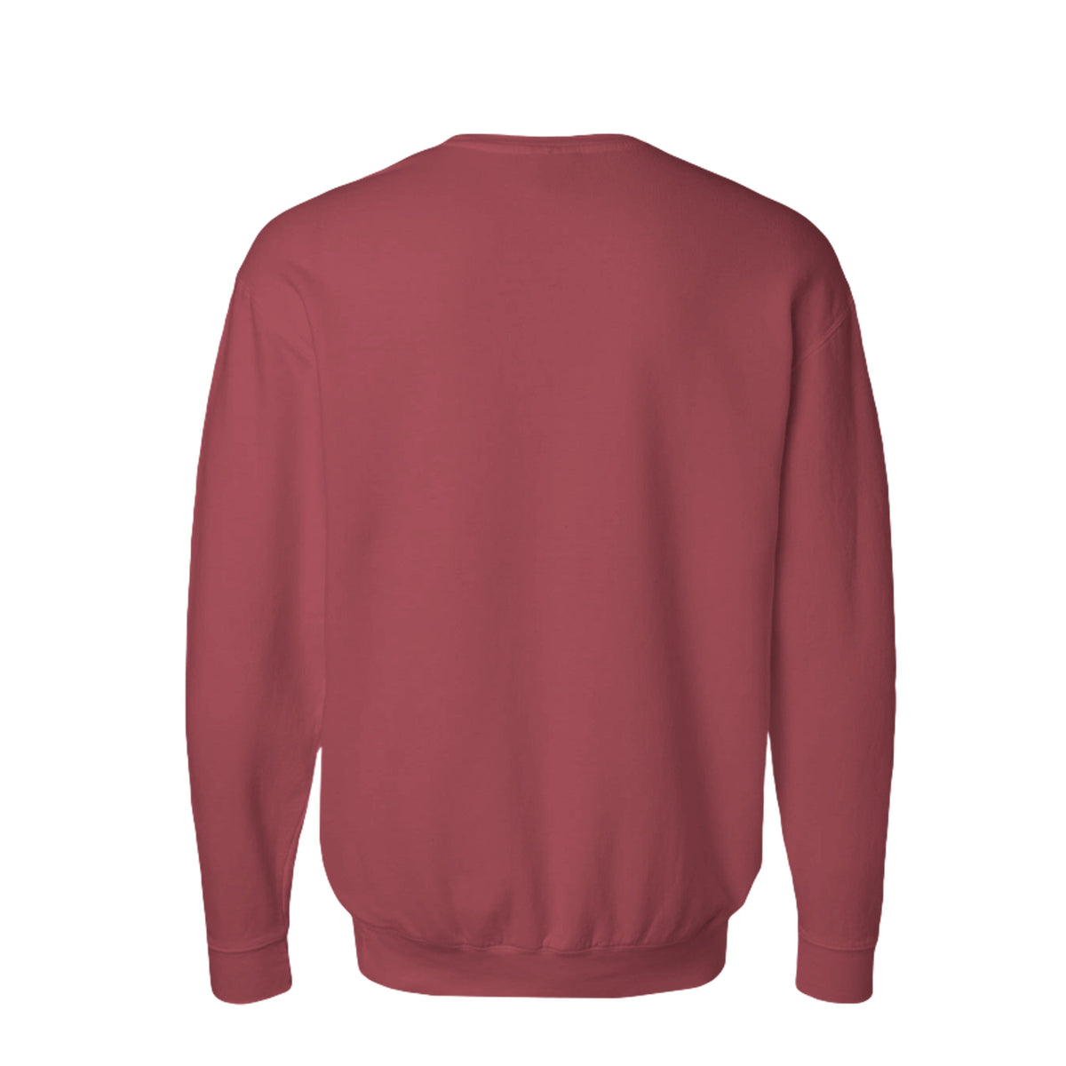 Caguana Front Print sweatshirt back
