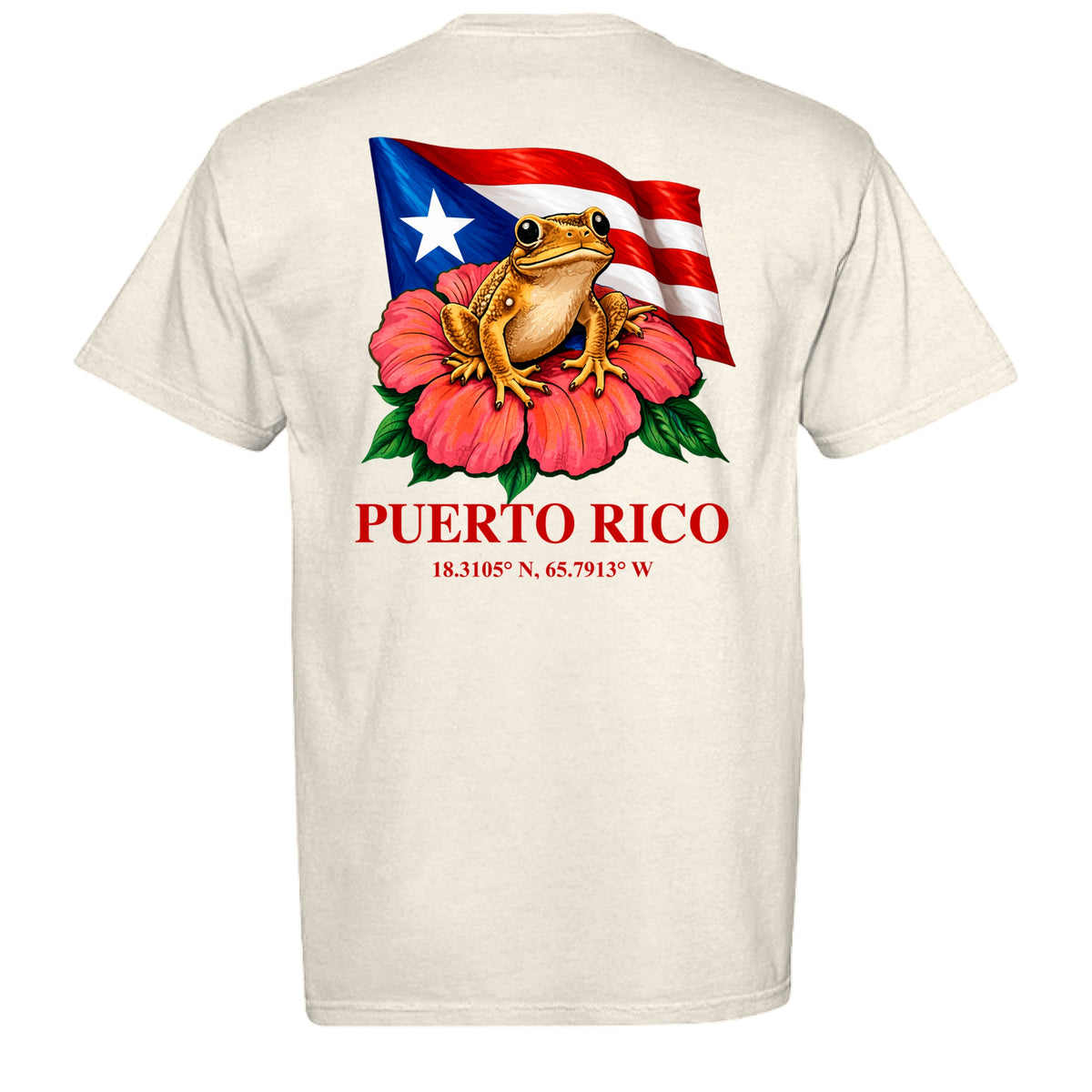 Ivory Wepa T-shirt, back flat mockup